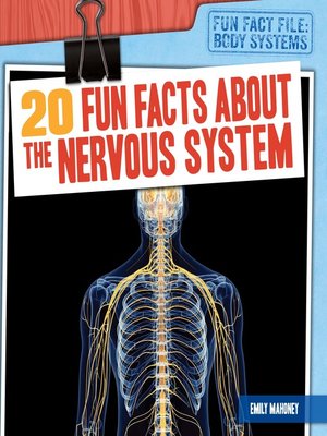cover image of 20 Fun Facts About the Nervous System
